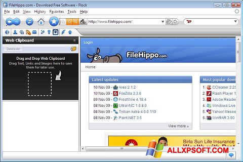 Képernyőkép Flock Windows XP