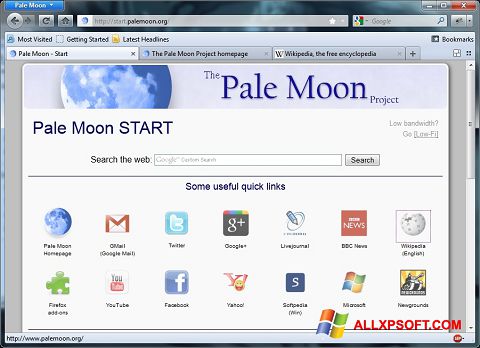 Képernyőkép Pale Moon Windows XP