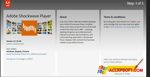 Képernyőkép Adobe Shockwave Player Windows XP