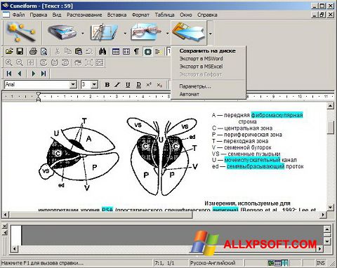 Képernyőkép CuneiForm Windows XP