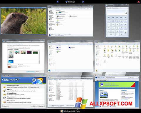 Képernyőkép Dexpot Windows XP
