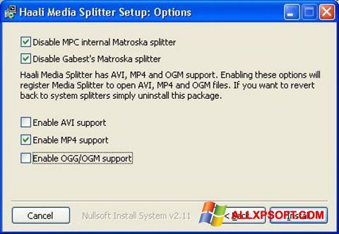 Képernyőkép Haali Media Splitter Windows XP
