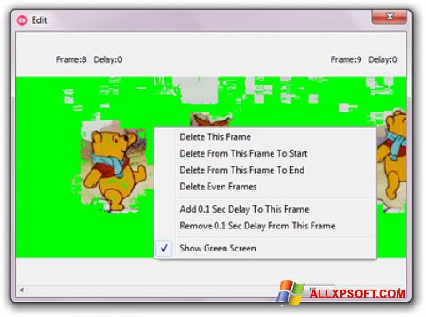 Képernyőkép GifCam Windows XP