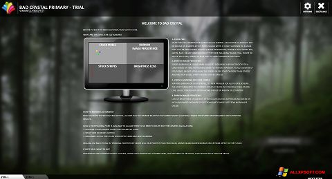 Képernyőkép Bad Crystal Windows XP