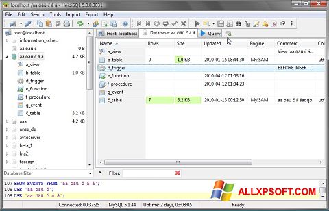 Képernyőkép HeidiSQL Windows XP