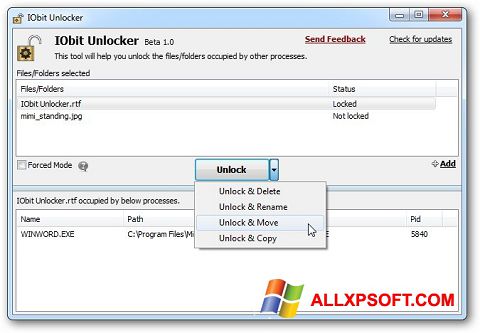 Képernyőkép IObit Unlocker Windows XP