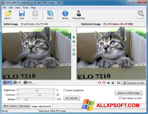 Képernyőkép RIOT Windows XP