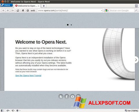 Képernyőkép Opera Developer Windows XP